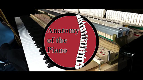 钢琴解剖（2）：立式钢琴和三角钢琴的外壳