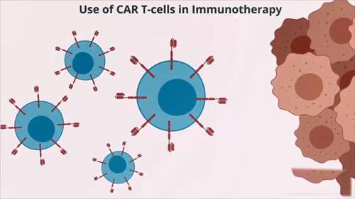 CRISPR-Cas9技术在CAR-T细胞疗法中的应用