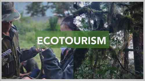 生态旅游更利于环境吗