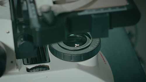 如何使用以及保养显微镜