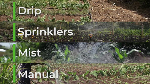四种灌溉方式