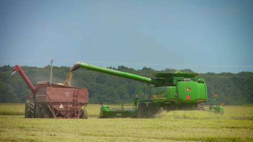 阿肯色州水稻种植