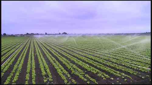 再生水在农业领域的应用