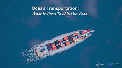 海运：如何用集装箱运输食品