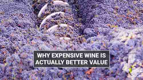 为什么昂贵的葡萄酒更值得